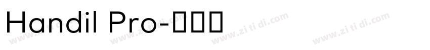 Handil Pro字体转换
